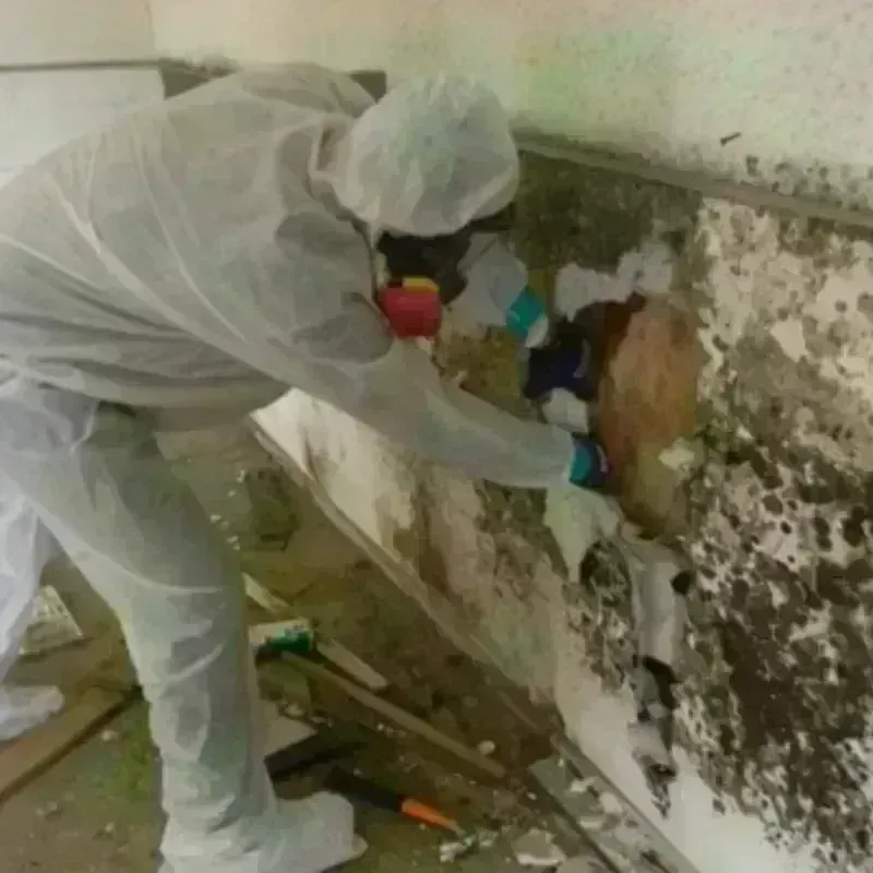 Mold Remediation and Removal in Russell County, KY